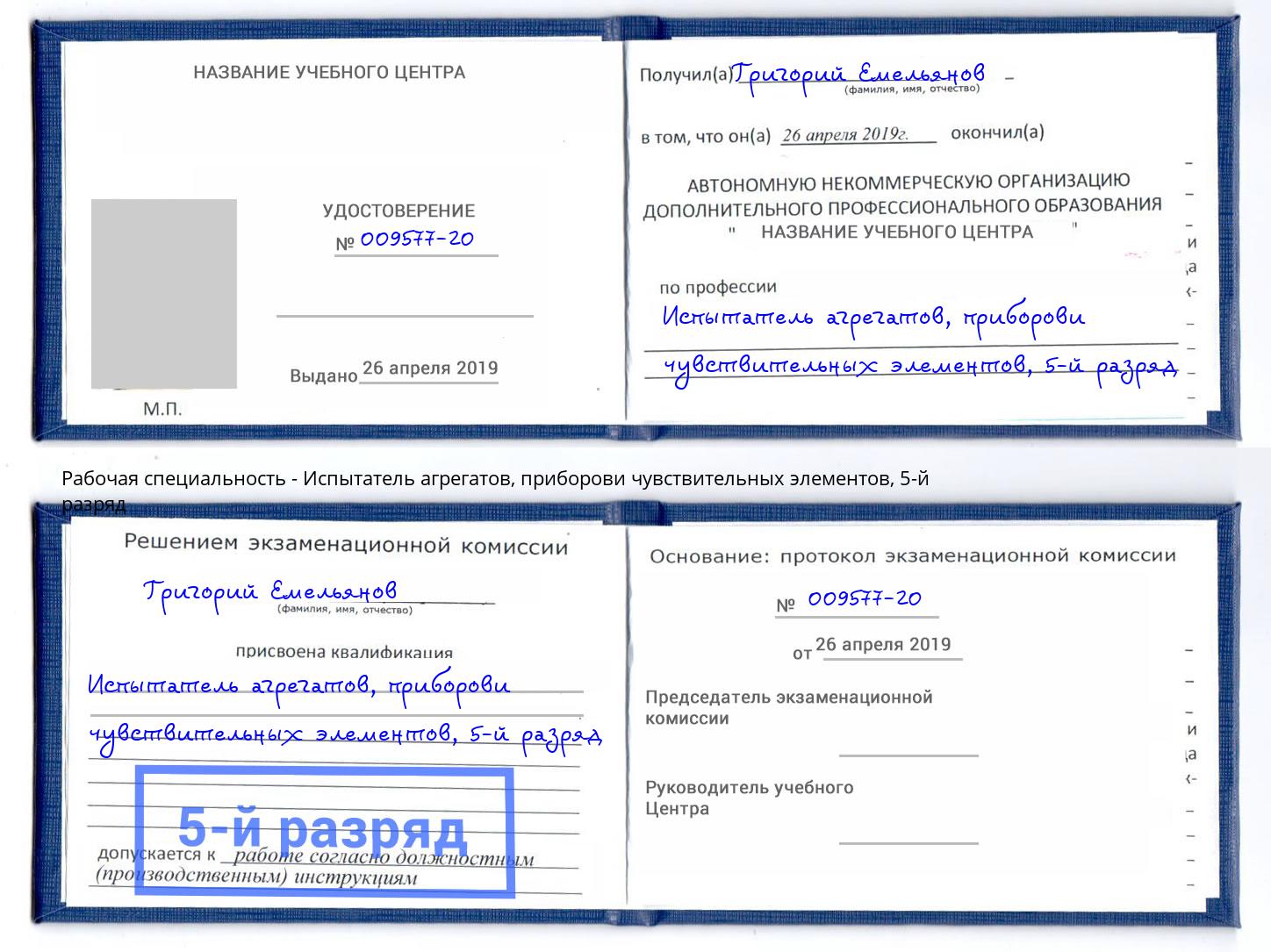 корочка 5-й разряд Испытатель агрегатов, приборови чувствительных элементов Дзержинск