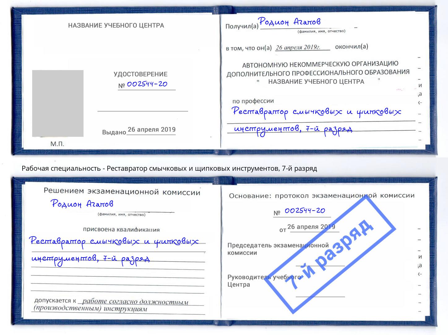 корочка 7-й разряд Реставратор смычковых и щипковых инструментов Дзержинск